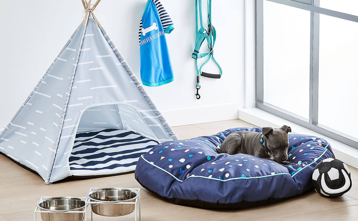 Dog Beds Kmart NZ