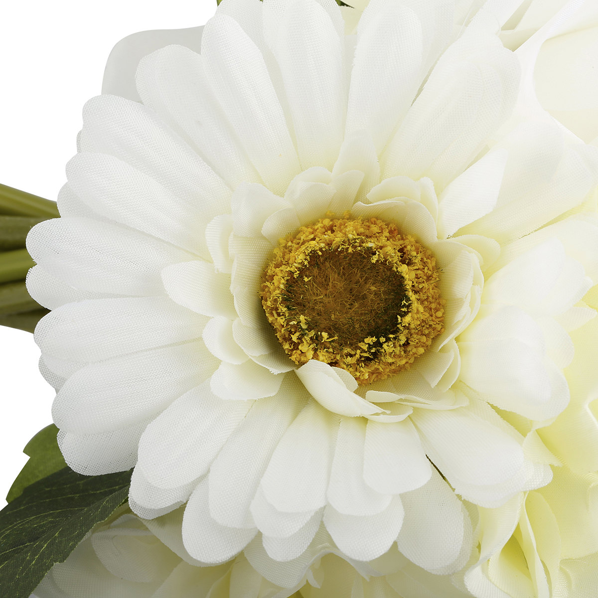 Mixed Bunch White Flowers KmartNZ