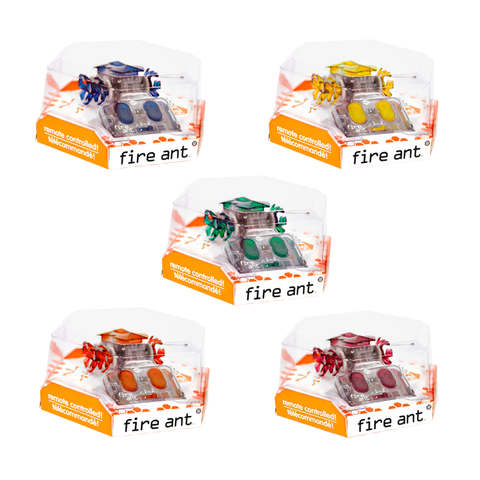 hexbug kmart