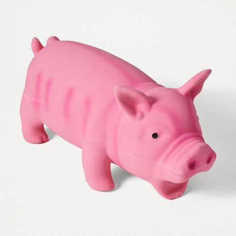 toy pig