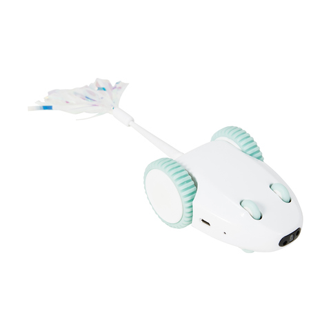 cat laser pointer kmart