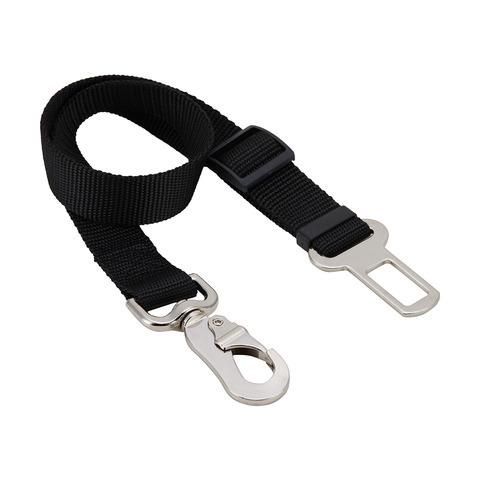 dog leash kmart