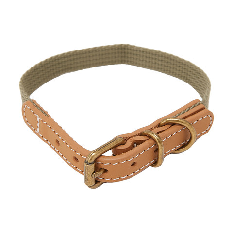 dog collars kmart