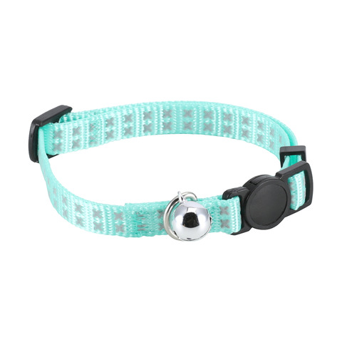 daisy dog breeders near me