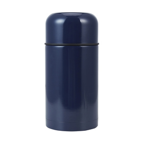 thermos food flask kmart