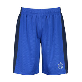 champion mesh shorts nz