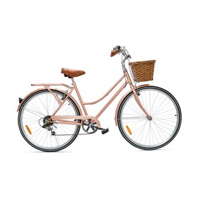 holland vintage cruiser bike
